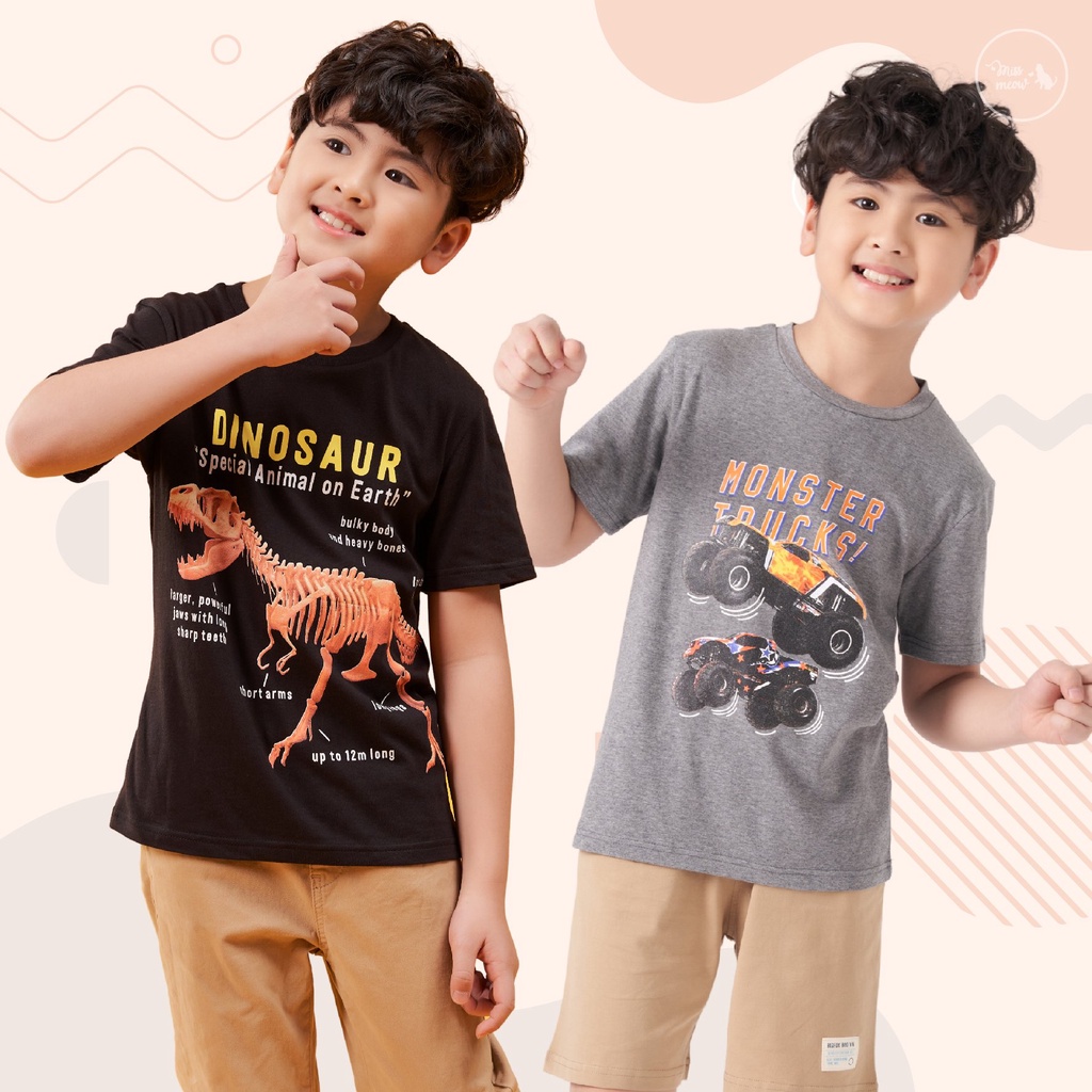 Áo Thun Bé Trai Cộc Tay Mùa Hè Size Đại Bigfox Style Hàn Quốc Cỡ Từ 3 đến 11 tuổi 25kg 40kg, Mã Xuất 13