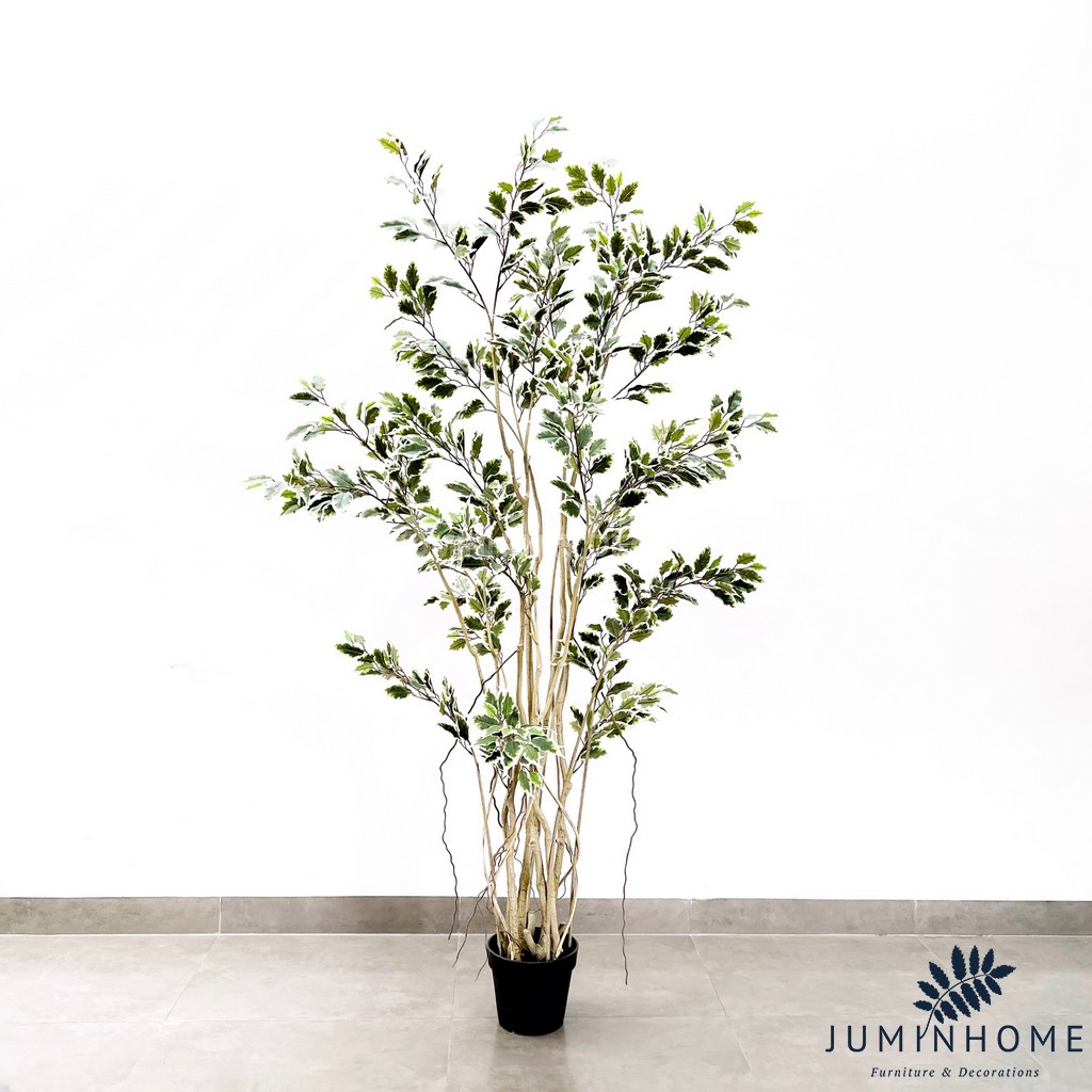 Cây giả, Cây Si lá bạc giả, Cây Si giả  - Cây giả decor trang trí nhà cửa nội thất phòng khách phòng ngủ