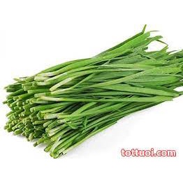 100 Hạt giống rau hẹ ta
