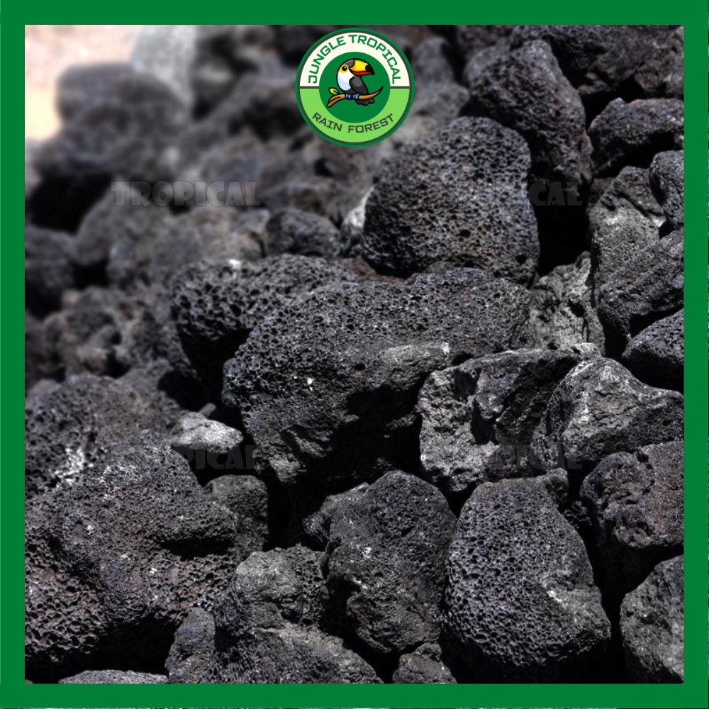 Đá đen Gia Lai - Đá trang trí tạo bố cục bể thủy sinh cá cảnh