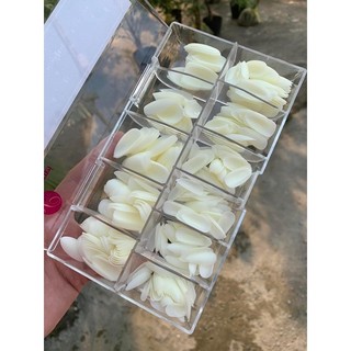 Móng úp HSM Team đen cao cấp Form Bầu nhọn đục nhám sẵn chính hãng