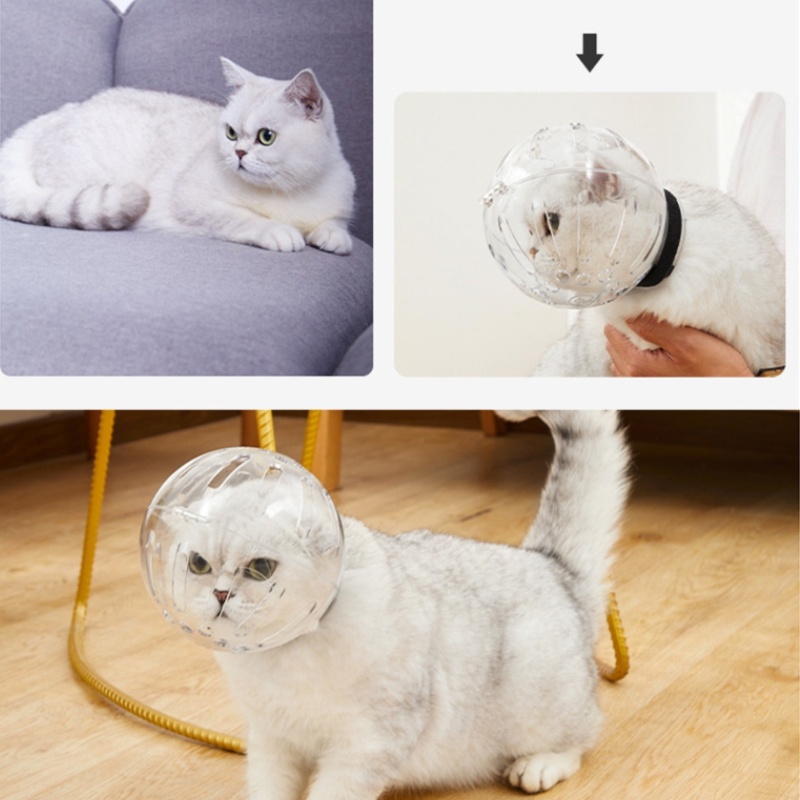 Aoto Tấm Chắn Bảo Vệ Mặt Chống Cắn Trọng Lượng Nhẹ Dành Cho Mèo