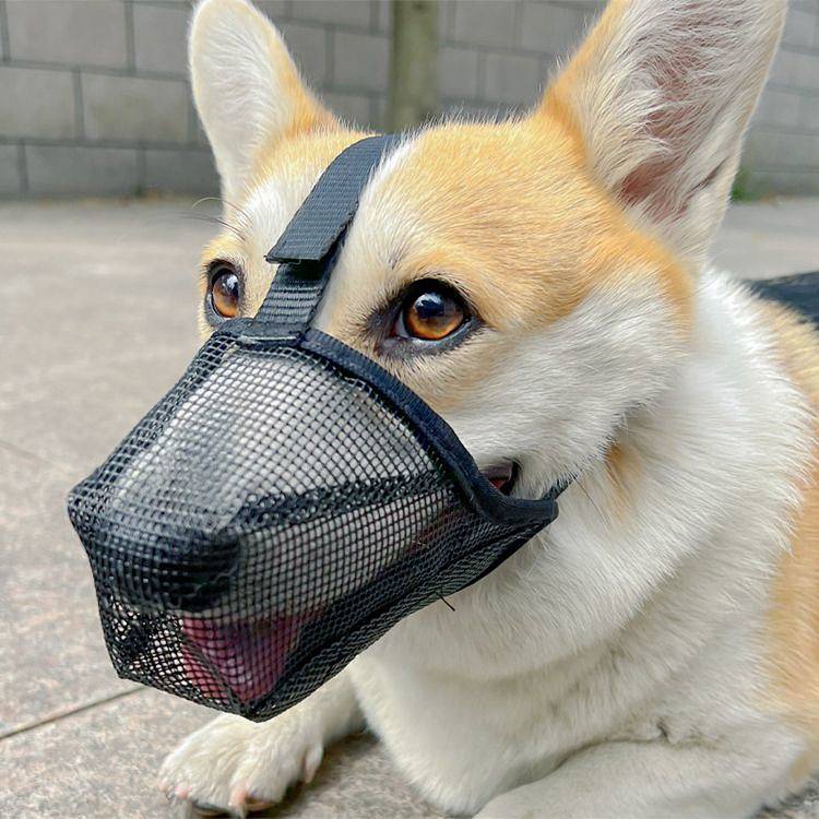 New Mesh Dog Mouth Cover Long Mouth Anti-Bite Eating Bark-Stop Dog Mask Universal Breathable Mesh Pet Muzzle 2xN4