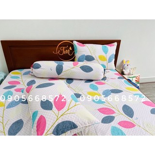 Bộ ga gối 100% coton chuẩn đẹp 4 món (1 ga, 2 vỏ nằm 1 vỏ ôm)