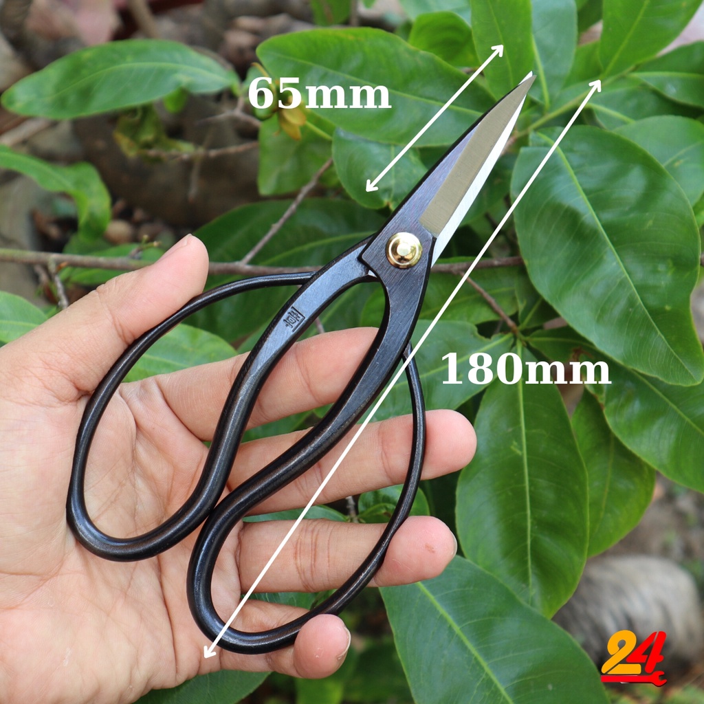 Kéo tỉa cây bonsai nhật Mikisyo Y-4, kéo cắt cành hoa