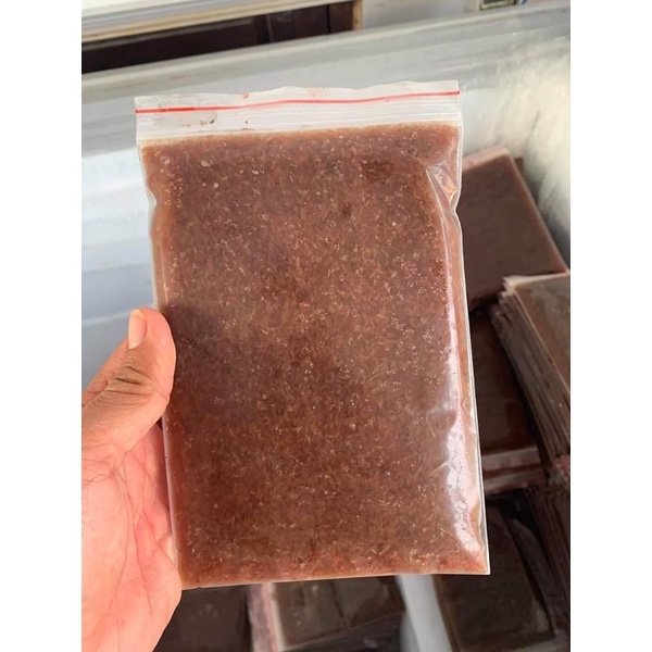 Artermia đông lạnh