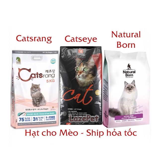 Hạt Catsrang Catseye cho Mèo 💥Ship Hoả tốc tại Hà Nội💥