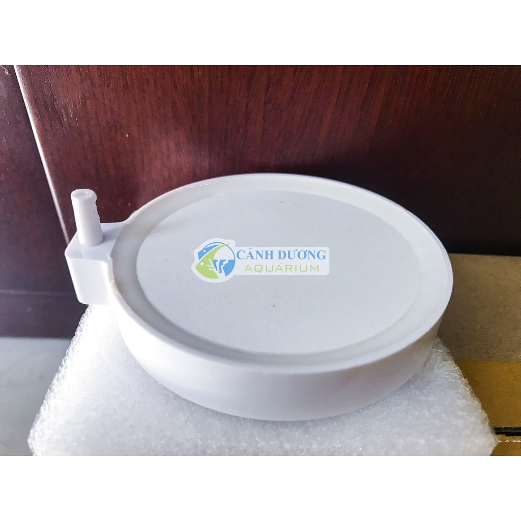 Sủi dĩa Nano- Sủi oxy siêu mịn C50 D50 C80 kích thước sủi 5cm 8cm