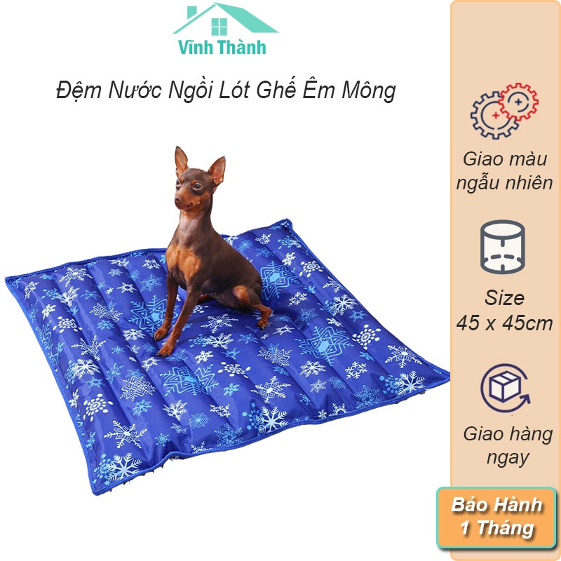Đệm nước gia đình ngồi lót mông mát, êm ái giải nhiệt mùa hè họa tiết đa dạng