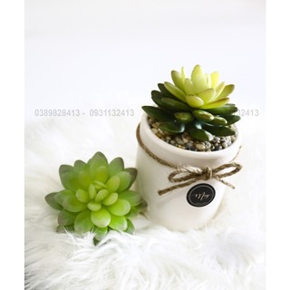 Cây giả, Chậu sen đá xanh chậu đất nung 8