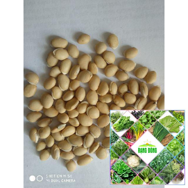 10 Hạt giống đậu ván xanh