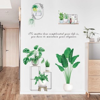 Decal dán tường cây xanh MIVIDECOR