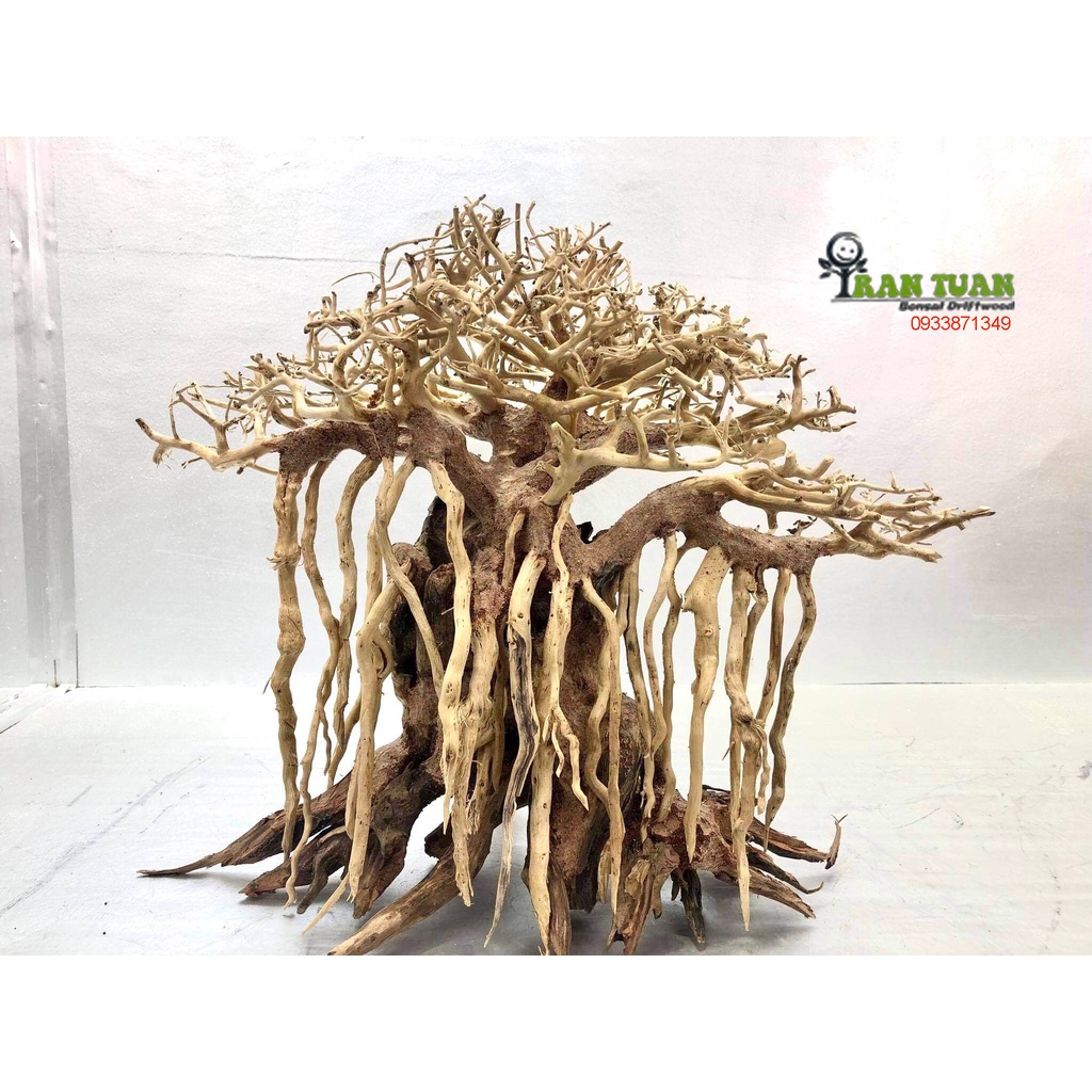 Cây gỗ lũa Bonsai cho hồ thủy sinh kích thước nhỏ