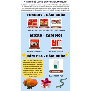  TỪ 10- 15KG BAO NGUYÊN CÁM MICRO 80 MICRO 0 TOMBOY 0 