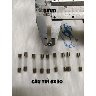 Combo 20 chiếc cầu chì thủy tinh 6x30