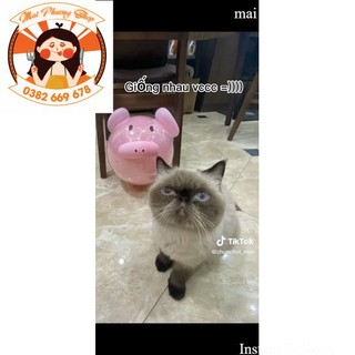 (KÈM MẮT ĐEN ) Bóng bay heo hồng chưa bơm ( lợn hồng)( có sỉ) (hot trend tiktok)( ảnh thật)