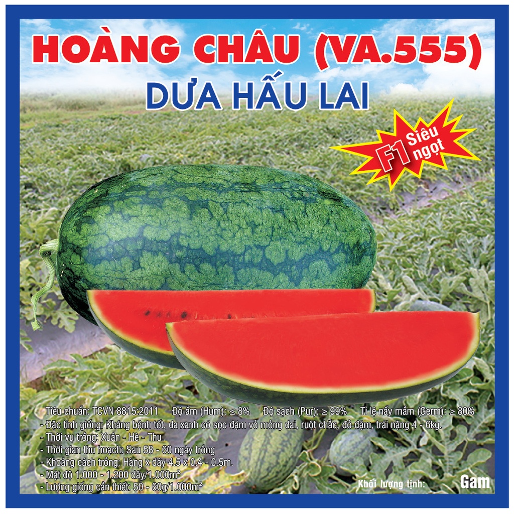 Hạt giống Dưa hấu Hoàng Châu F1 (VA.555)