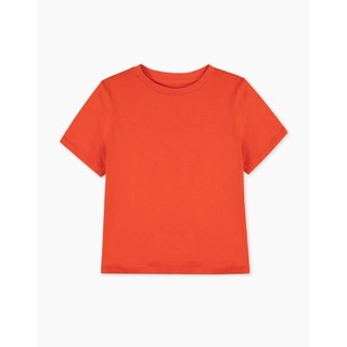 Áo Phông Bé Trai Basic Cotton GÊ