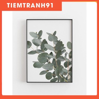 Tranh treo tường | Tranh cây lá nhiệt đới - Eucalyptus Print, Botanical 3