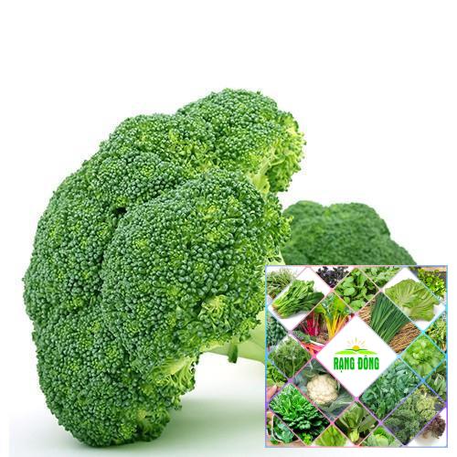 hạt giống súp lơ xanh 100 hạt