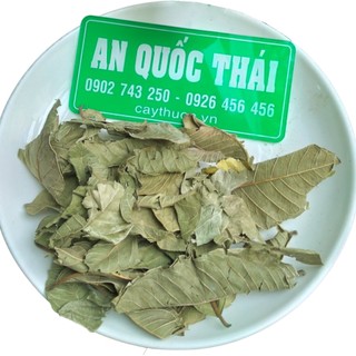 1kg lá ổi khô , lá ổi non giảm cân hạ đường huyết, lá ổi nguyên chất sạch đẹp