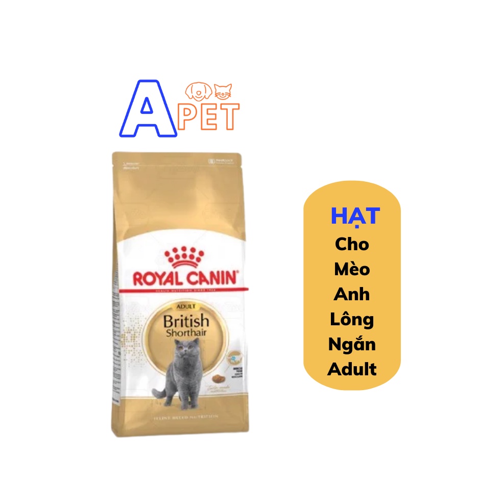 Hạt Cho Mèo Lớn Anh Lông Ngắn Royal Canin British Shorthair