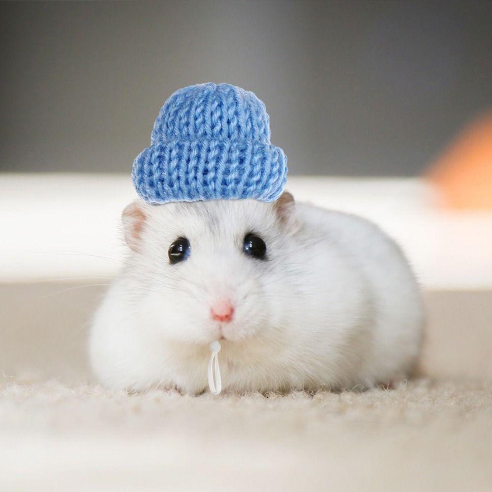 Mũ Dệt Kim Mềm Mại Co Giãn Nhiều Màu Sắc Có Dây Đeo Cằm Cho Chuột Hamster / Heo Guinea