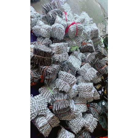 🥰 Set áo sơ mi sọc phong cách vkv alohashop91