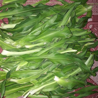 [Chỉ giao HCM] Gói 500 gram lá Trinh nữ hoàng cung tươi, đóng gói hút ẩm, đảm bảo tươi nguyên