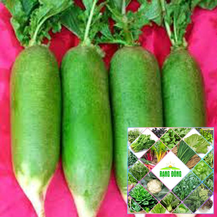 200 hạt giống củ cải đường xanh