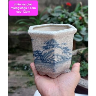 Chậu gốm trồng sen đá cây bonsai mini hoa văn đẹp