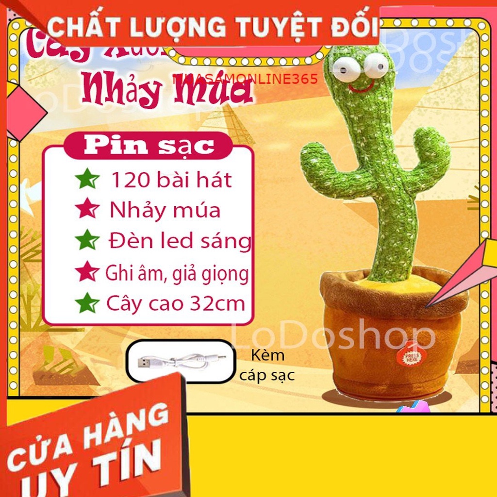 Cây sương rồng nhảy múa, biết hát vui nhộn, nhại lại giọng nói siêu dễ thương