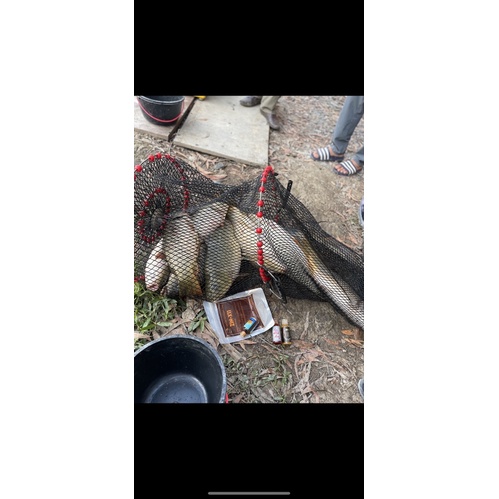 Mồi Câu Chuyên Chép ZINX11