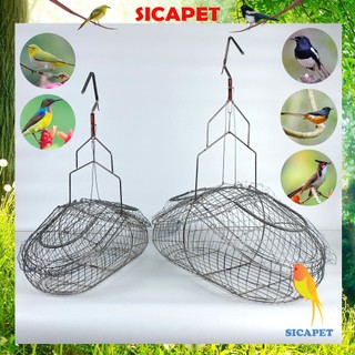 Lồng bẫy chim chào mào - chích chòe, Lồng bẫy chim khuyên, Bẫy chào mào chất liệu INOX không rỉ SICAPET