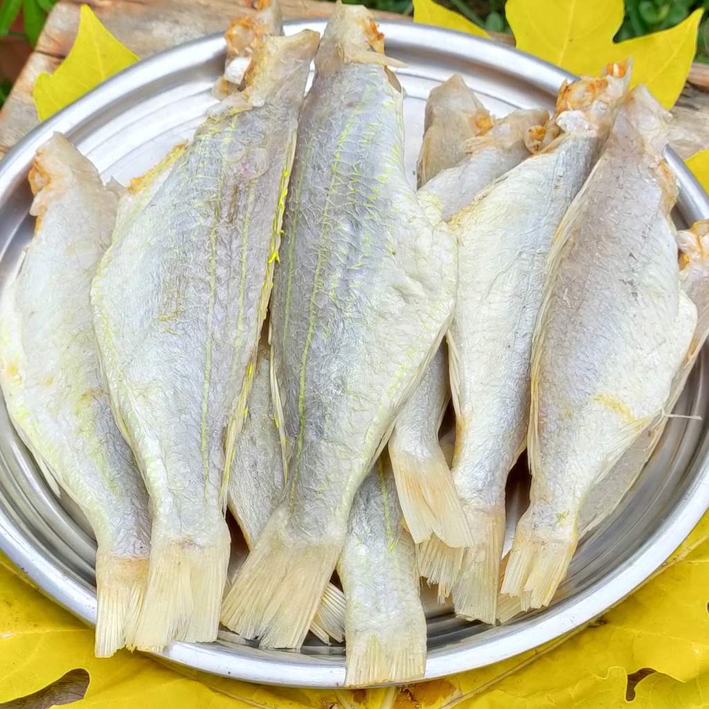 500gr Khô Cá Đổng Loại Lớn Ướp Vừa Ăn Không Mặn Chiên Hoặc Nướng Đều Ngon