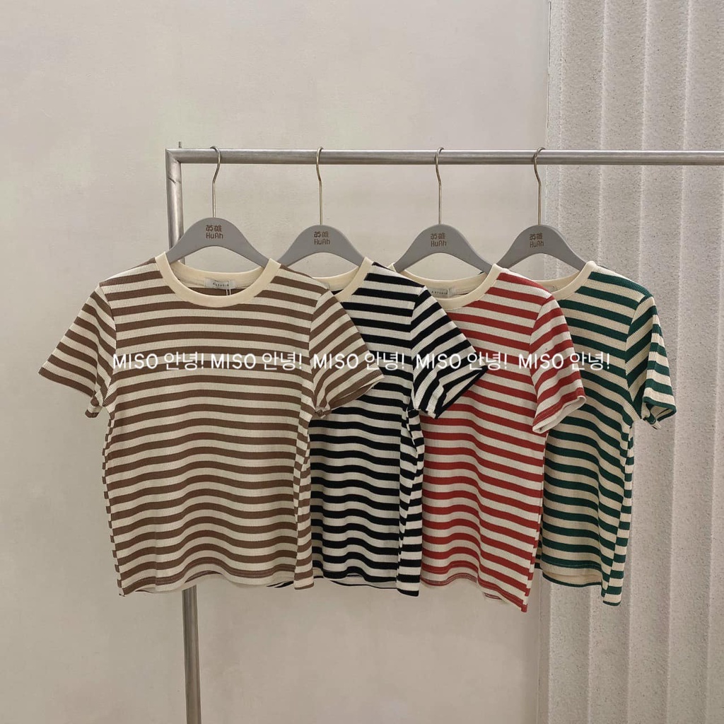 Áo len tăm kẻ to qccc