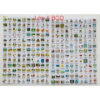 Sticker từ vựng tiếng anh lớp 5 BGD