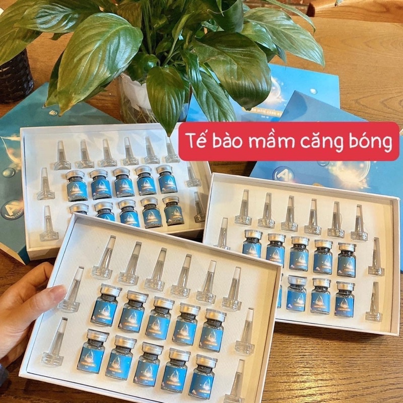 LẺ 1 LỌ Tế bào gốc MẦM CĂNG BÓNG trắng da, mướt mịn,,,,