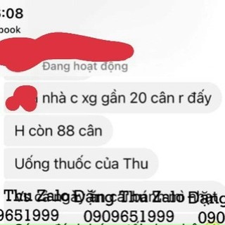 giảm cân thảo dược bảo việt