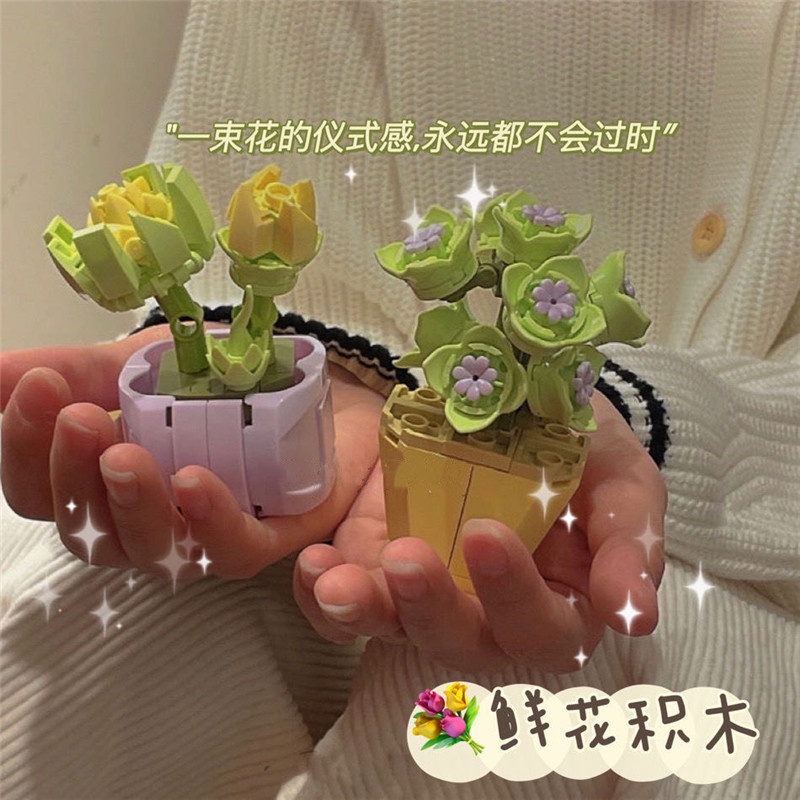 Bộ Đồ Chơi Lắp Ráp Đồ  trang trí  DIY WINWORLD Chậu Hoa Sen Đá  cây mini Sáng Tạo