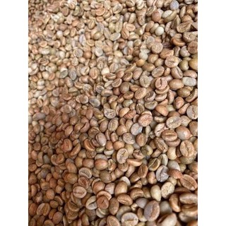 cà phê Robusta nhà trồng
