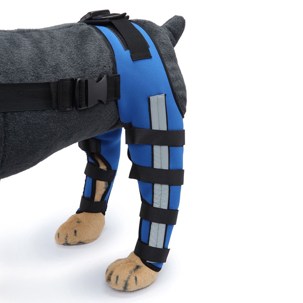 Elsabell Dog Hind Leg Brace Breathable Đàn hồi chống sốc Bảo vệ chân chó cho vật nuôi và