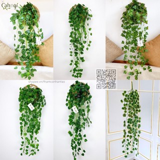 Cây Dây Leo Giả Trang Trí: Trầu Bà, Thường Xuân, Nho, Rau Má Nhật, Vạn Niên Thanh 90 Cm