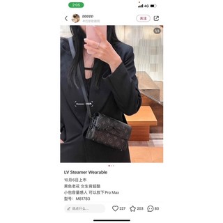 Túi LV teamer wallet