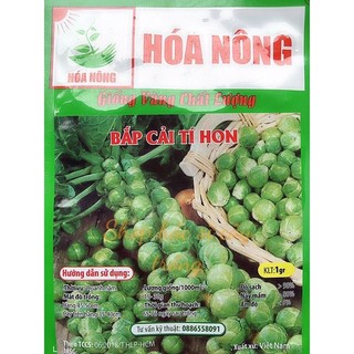 1 gram hạt giống bắp cải tý hon dễ trồng trái nhiều
