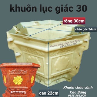 Khuôn đúc chậu cảnh lục giác 30 cao 22 (khuôn nhựa ABS có long trong)