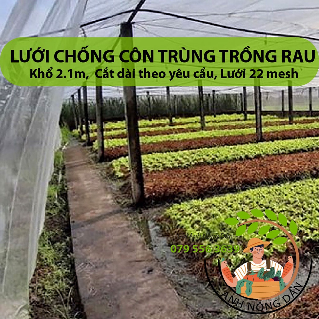 Lưới chắn côn trùng trồng rau 22 mesh, Khổ 2.1m - cắt dài theo yêu cầu - Lưới ngăn côn trùng, Lưới Thái