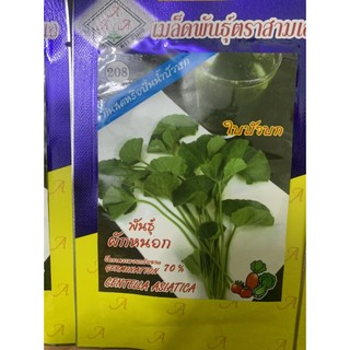 Hạt giống rau má lá nhỏ nhập khẩu thái lan