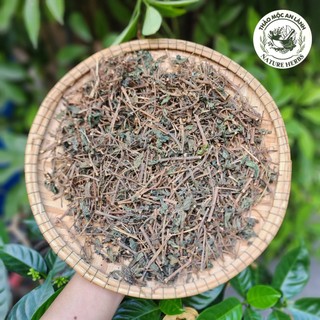 Cây thuốc dòi/ bọ mắm sấy khô sạch