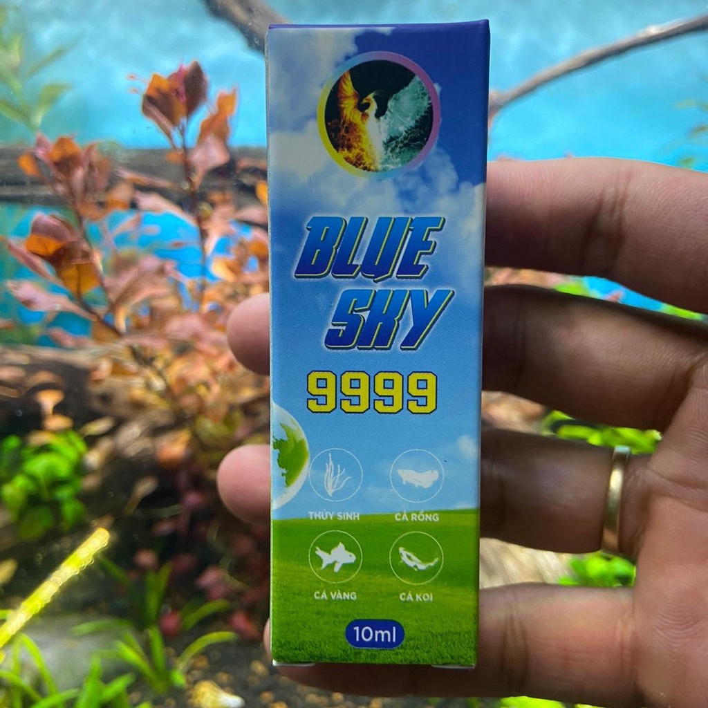 Blue Sky 9999